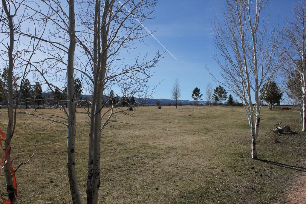 Sevier River Ranch & Cattle Company Гатч Номер фото